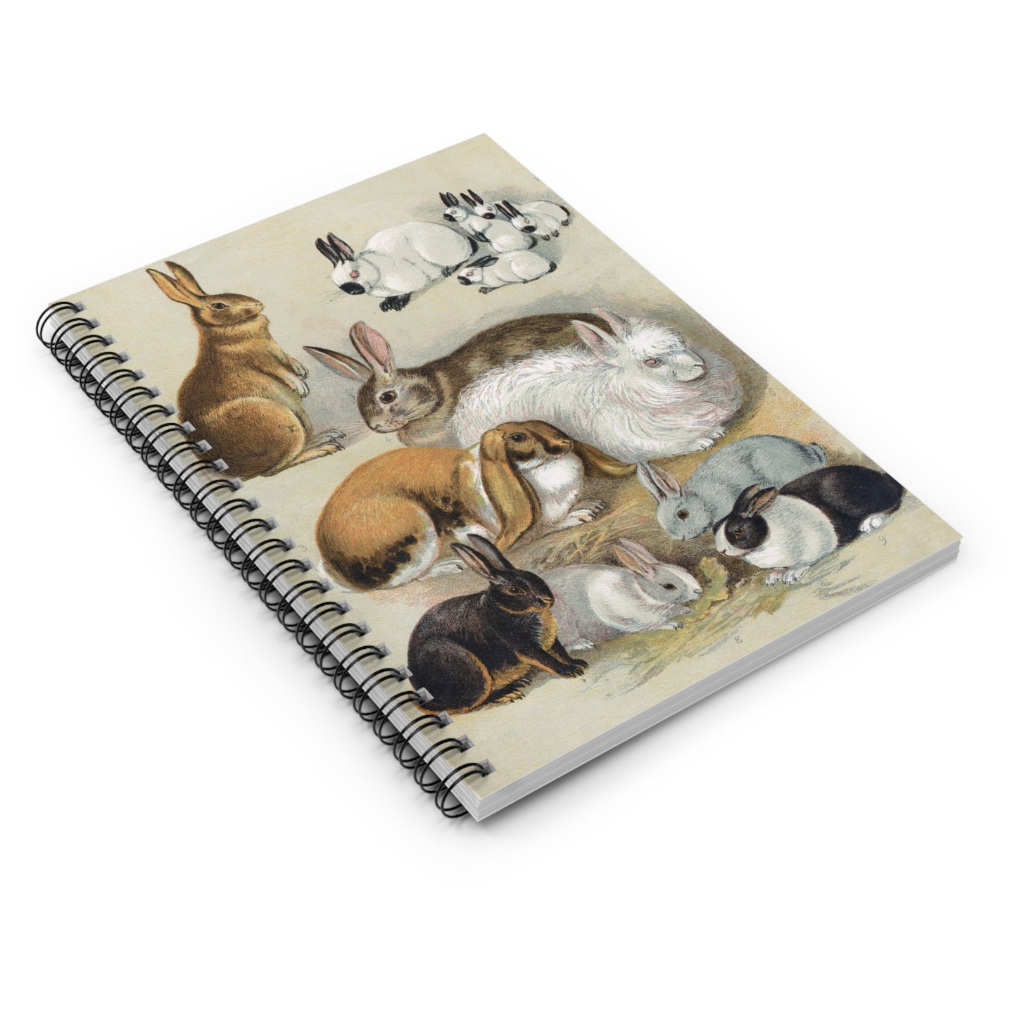 Spiral Notebook - Rabbits