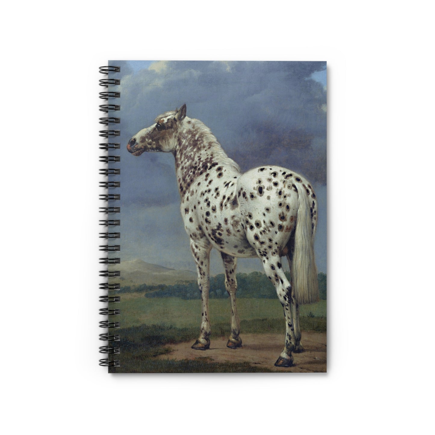 Spiral Notebook - Spotted Horse