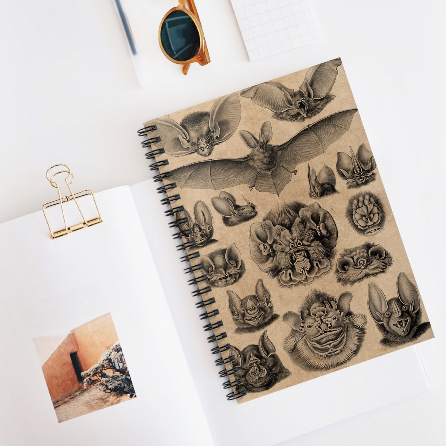 Spiral Notebook - Bat faces