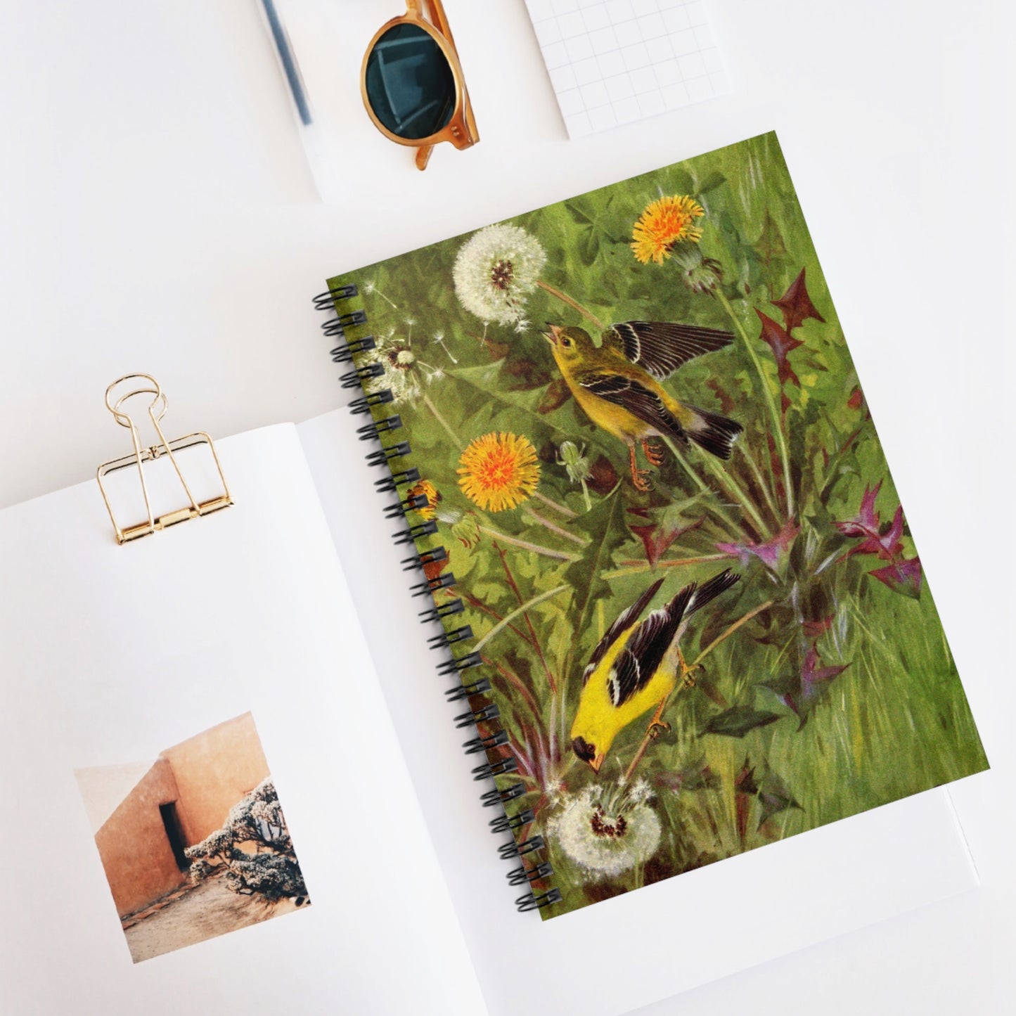 Spiral Notebook - Finches and dandelions