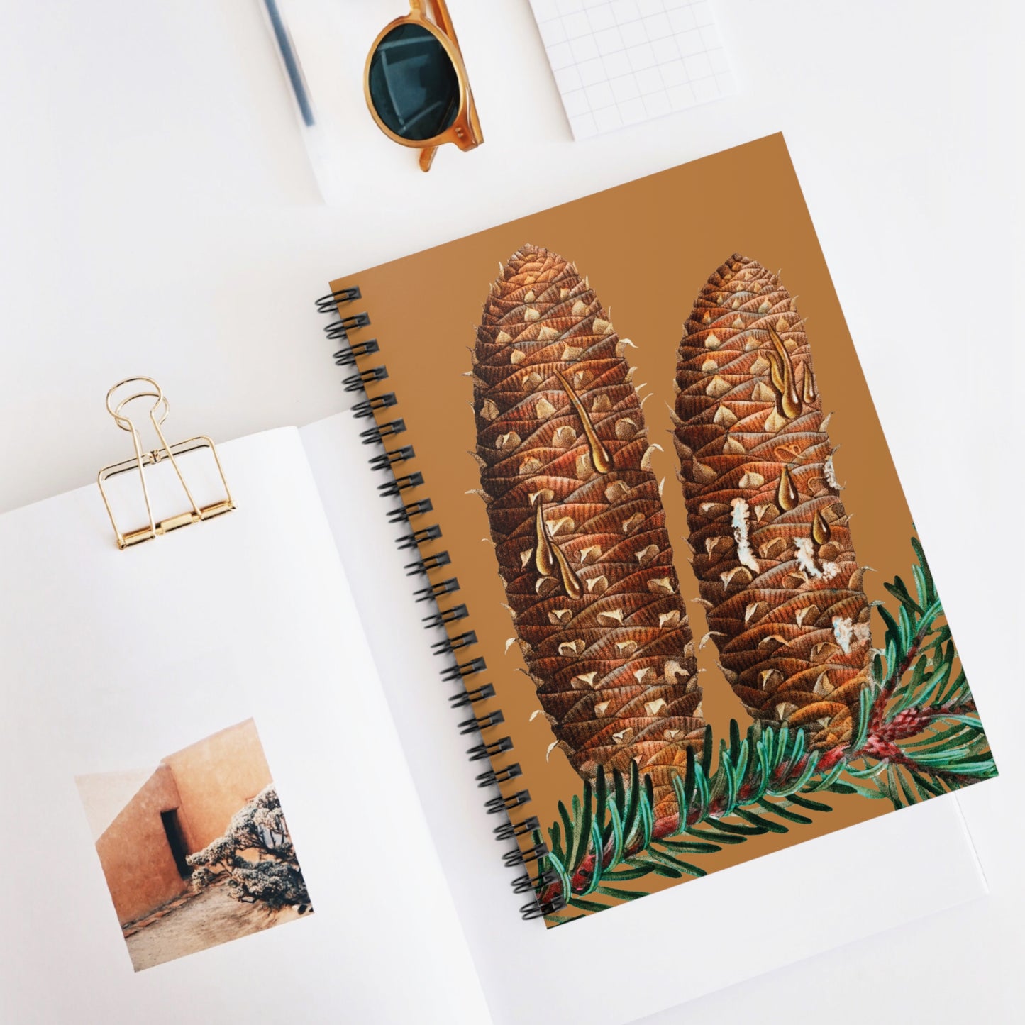 Spiral Notebook - Pinecones