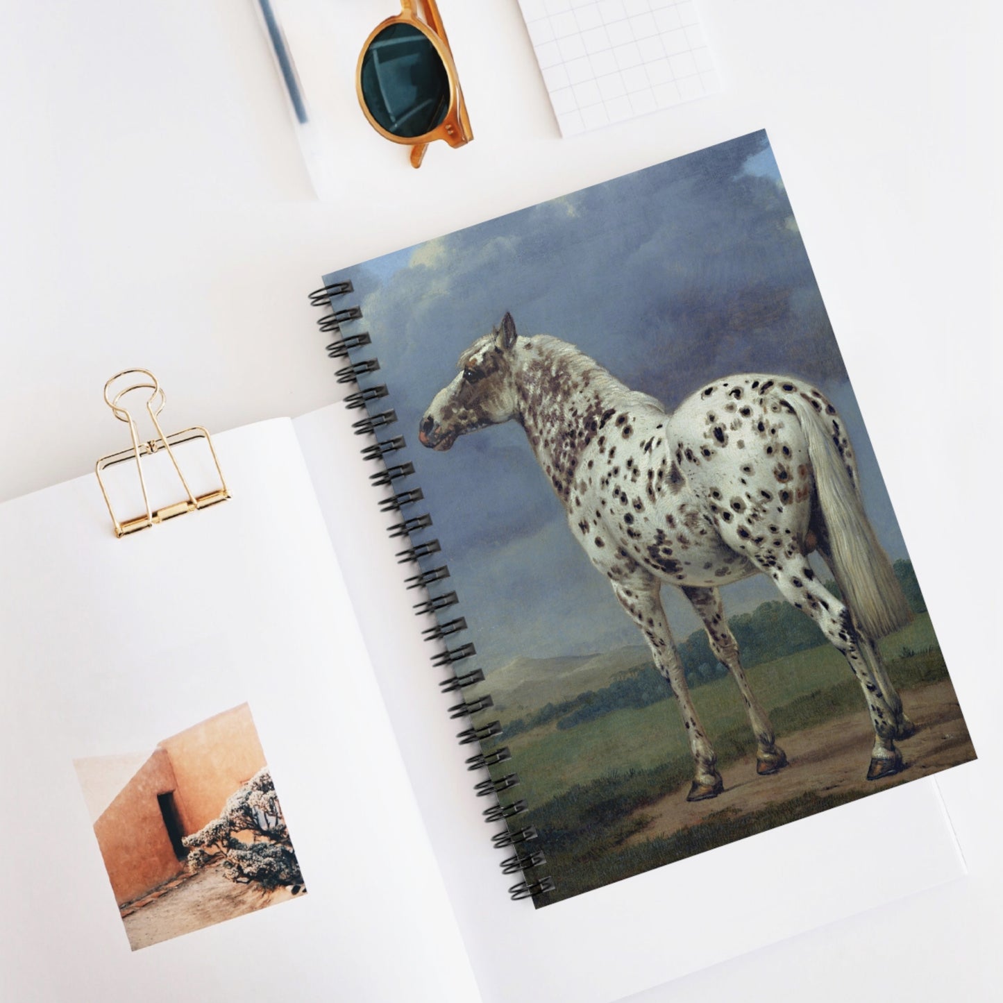 Spiral Notebook - Spotted Horse