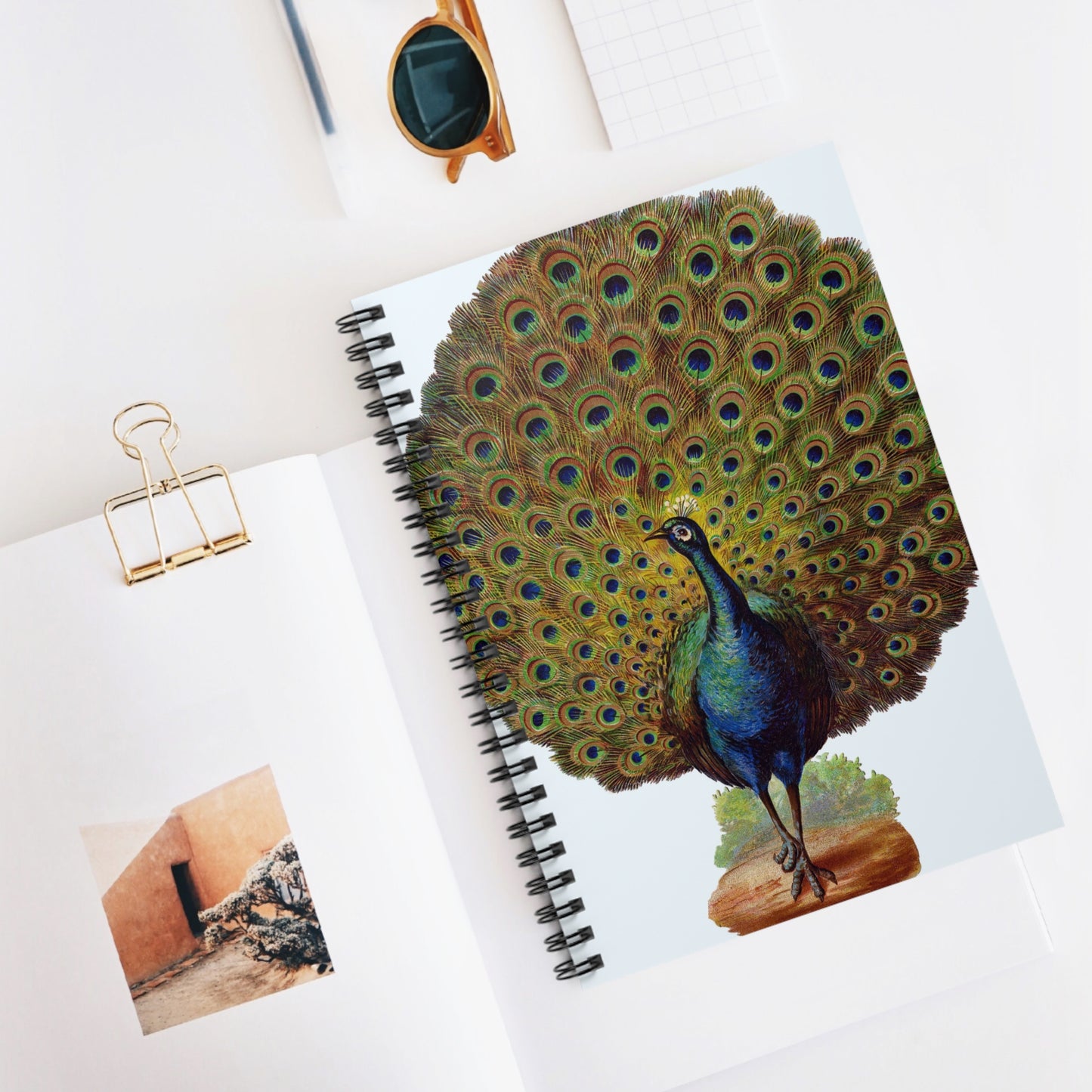 Spiral Notebook - Peacock