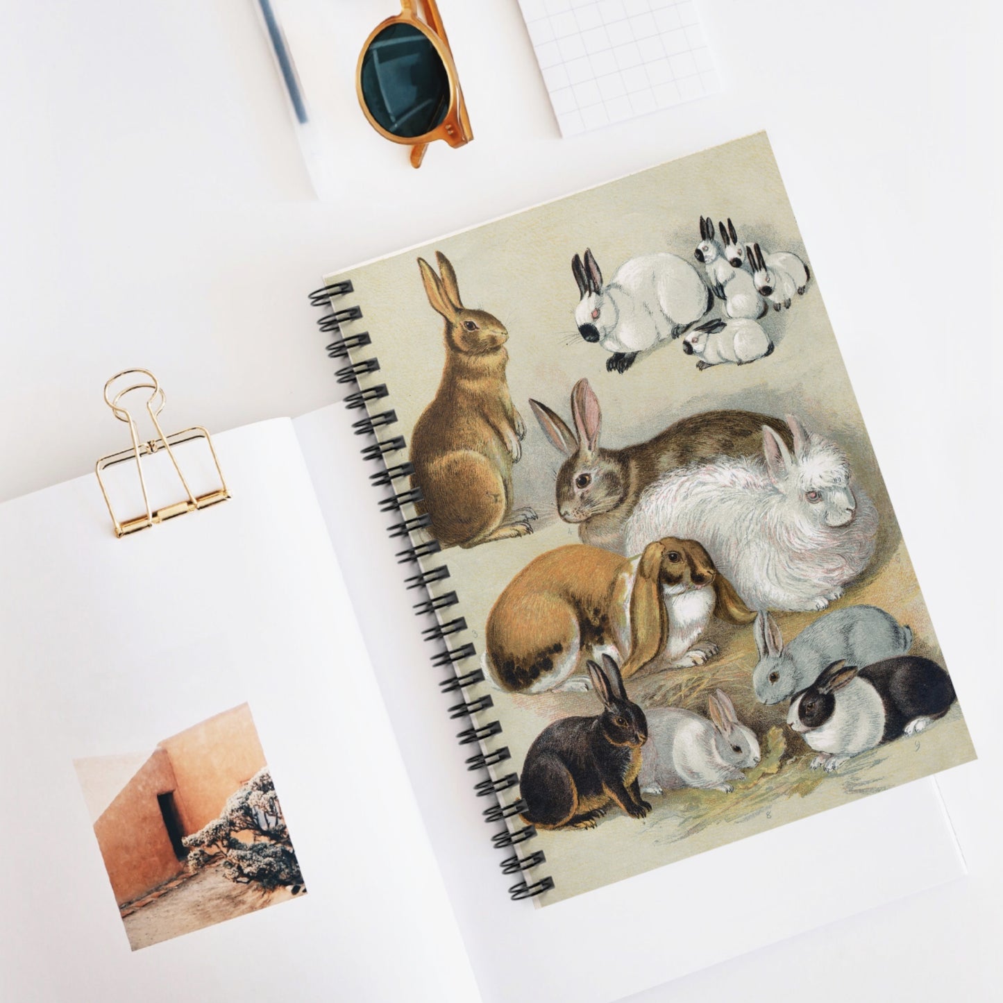 Spiral Notebook - Rabbits