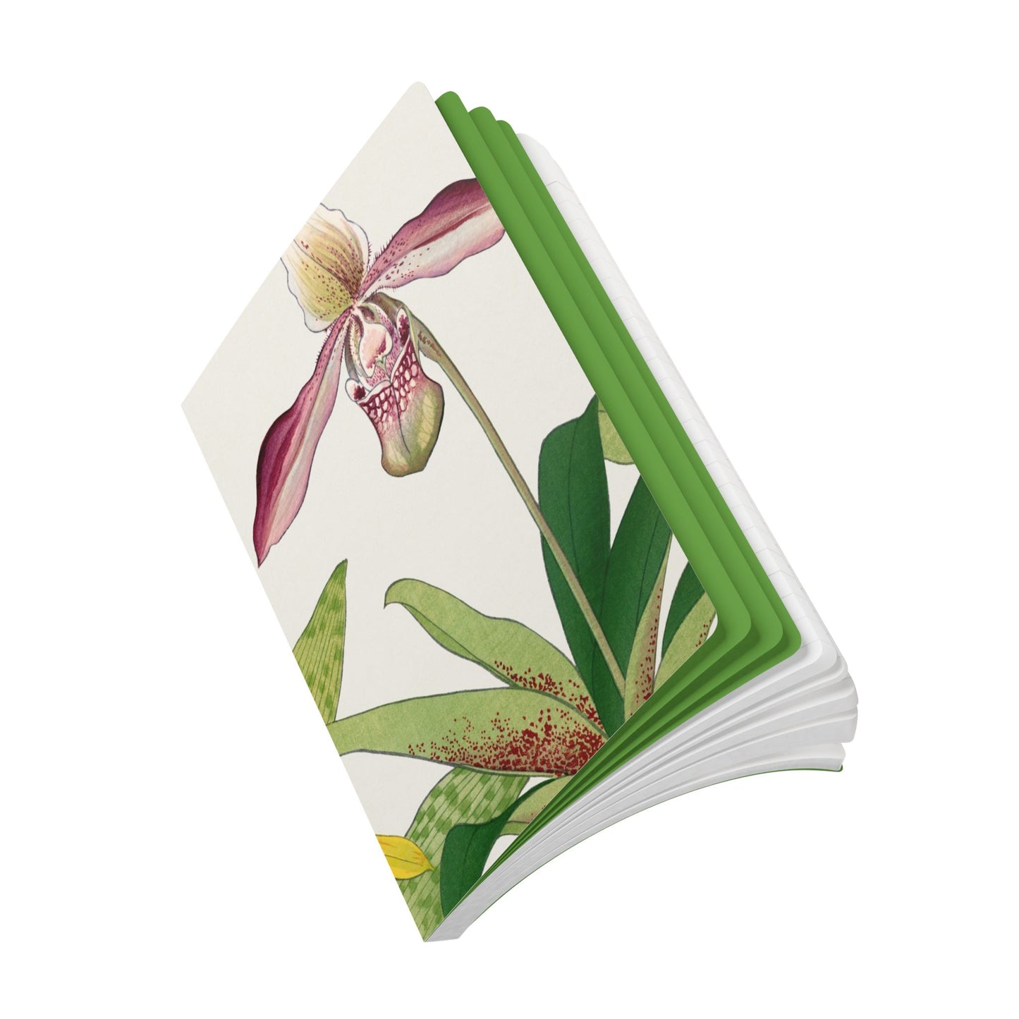 Softcover Journal -  Slipper Orchid
