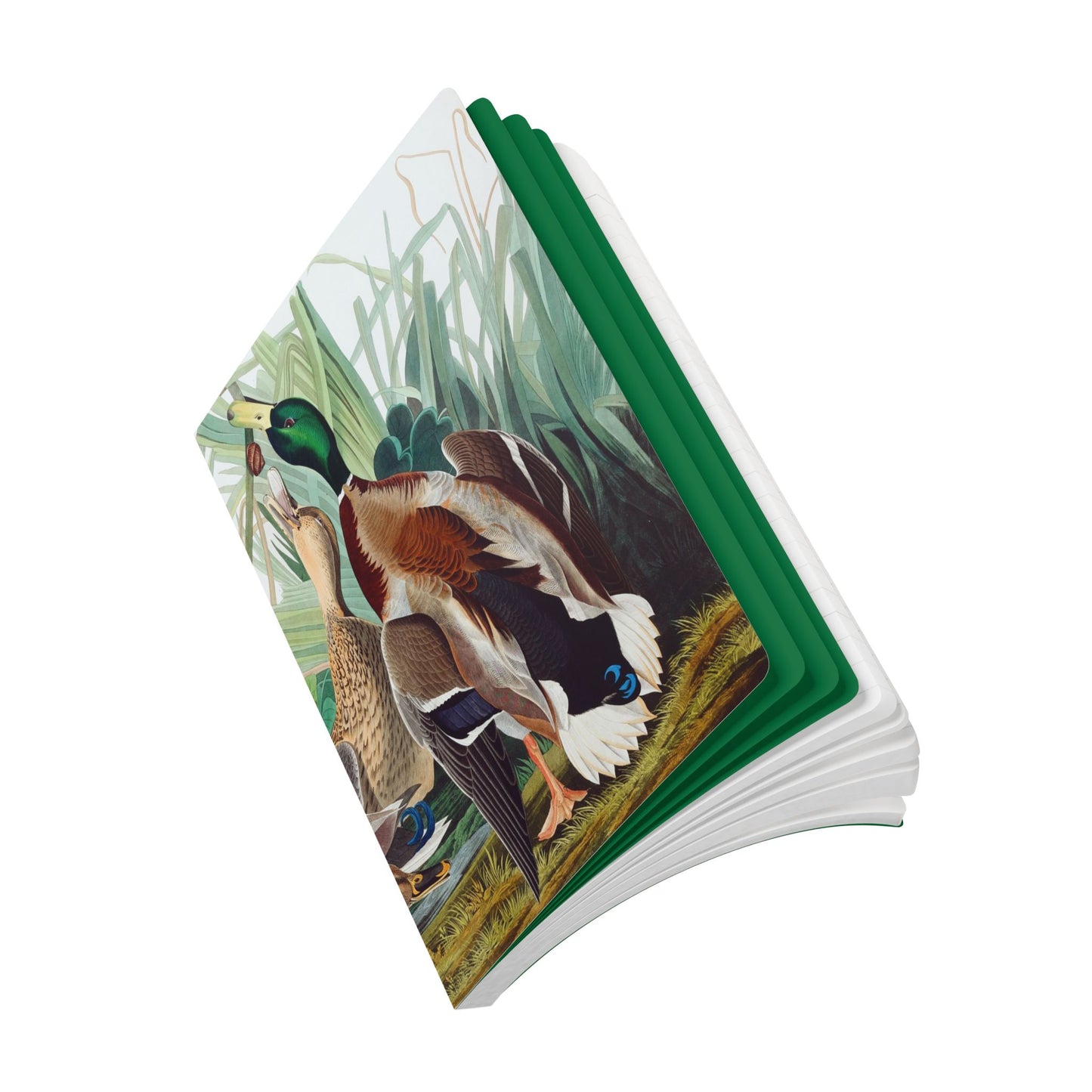 Softcover Journal - Mallard Ducks