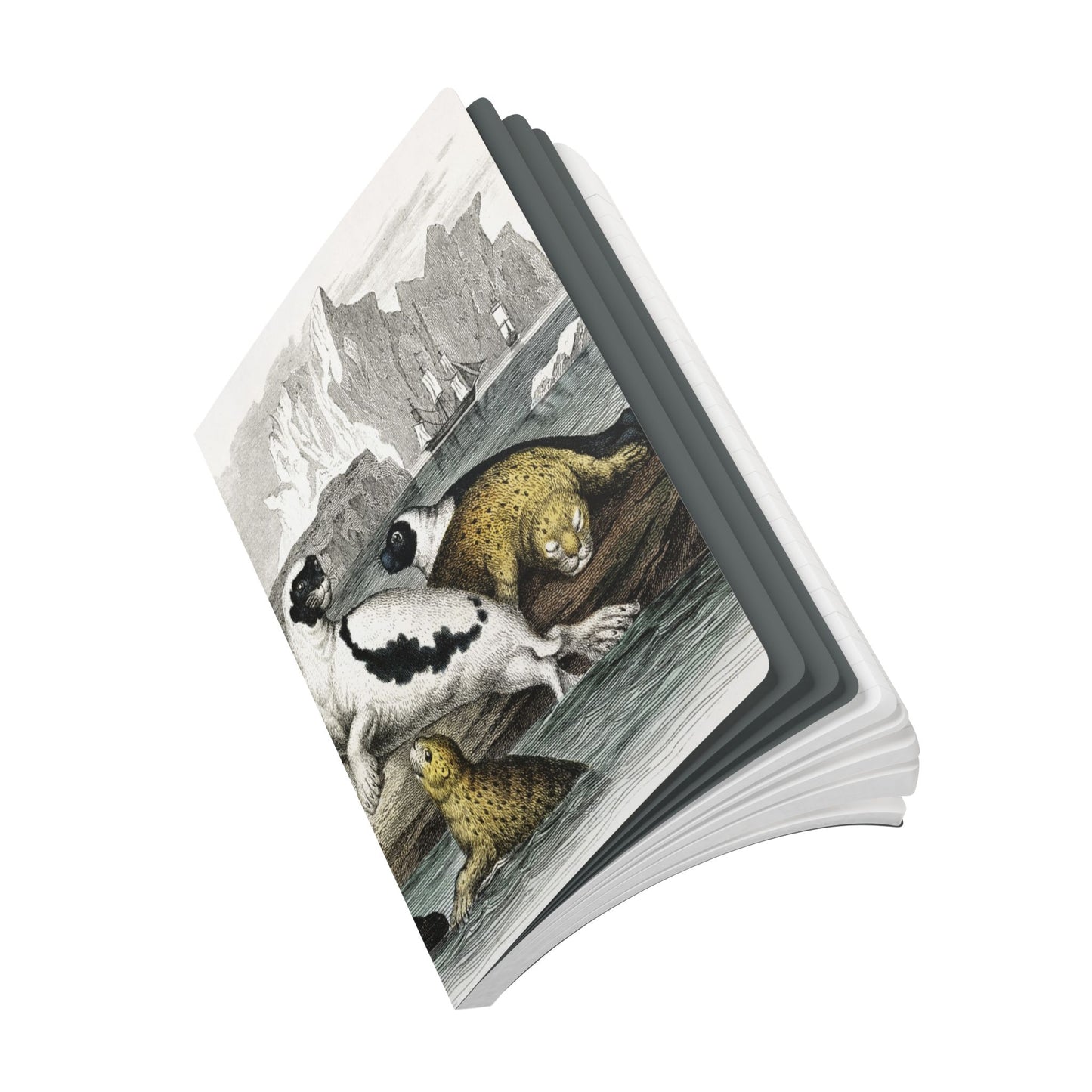 Softcover Journal - Boats and Seals