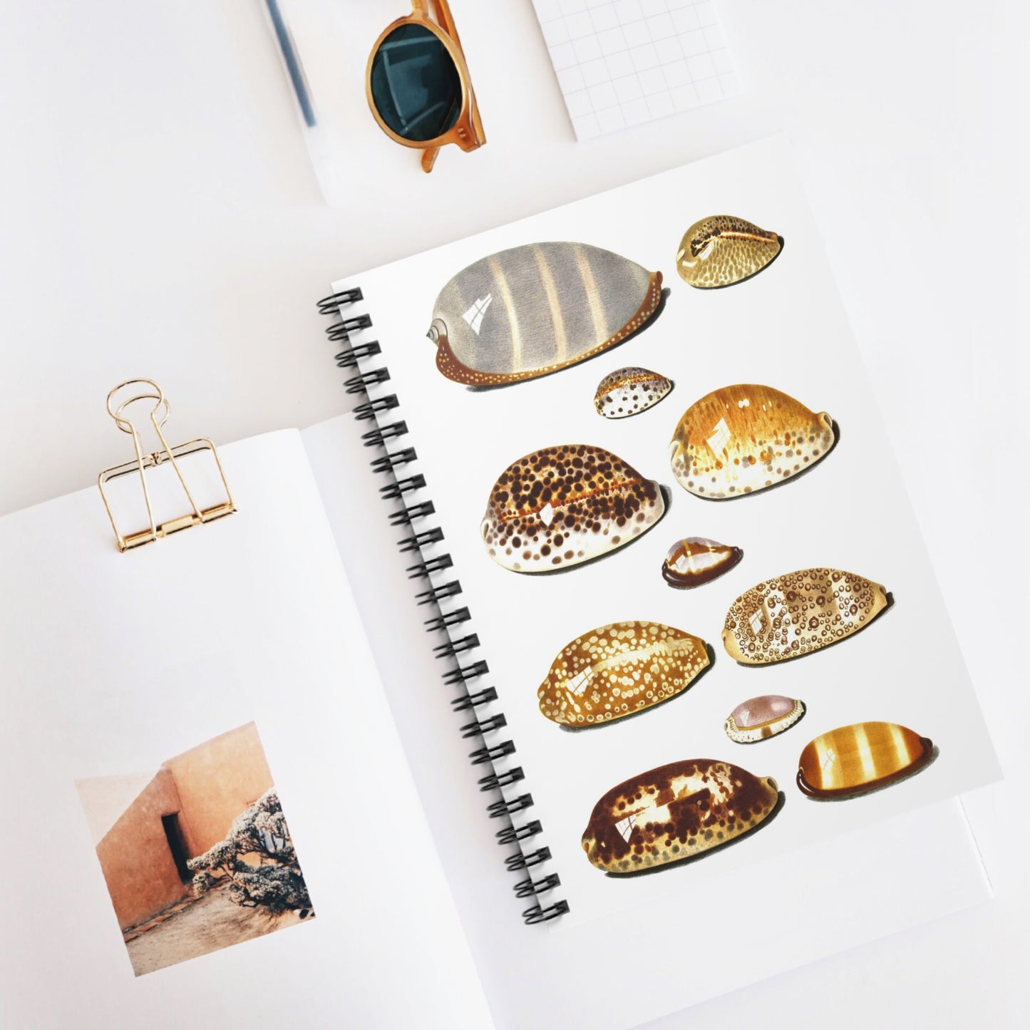 Spiral Notebook - Shells