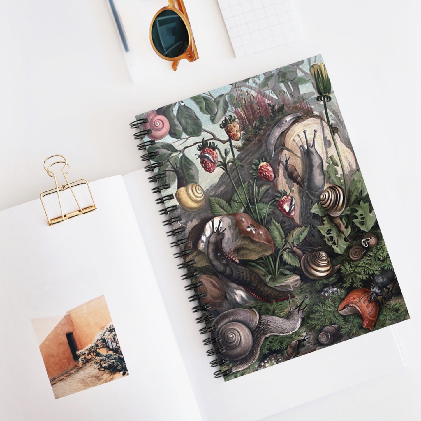 Spiral Notebook - Snails