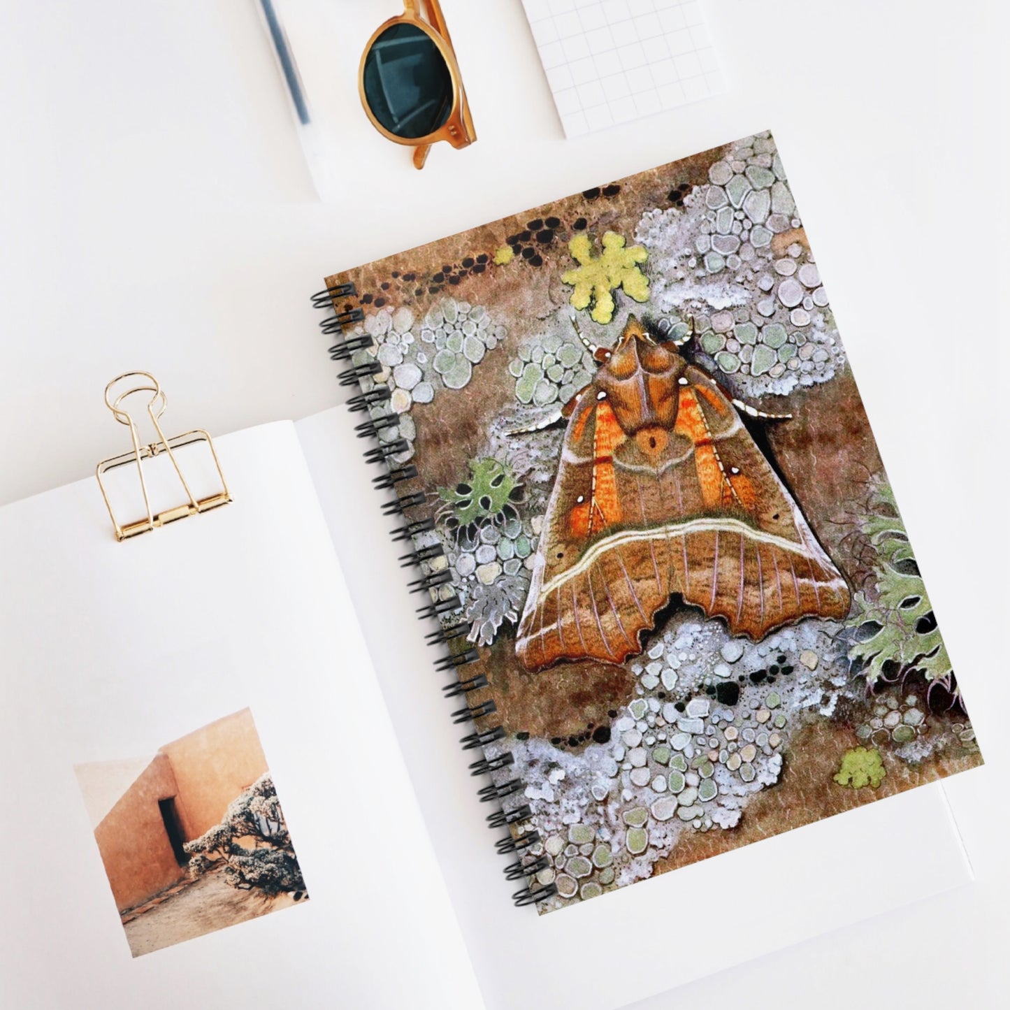 Spiral Notebook - Moth
