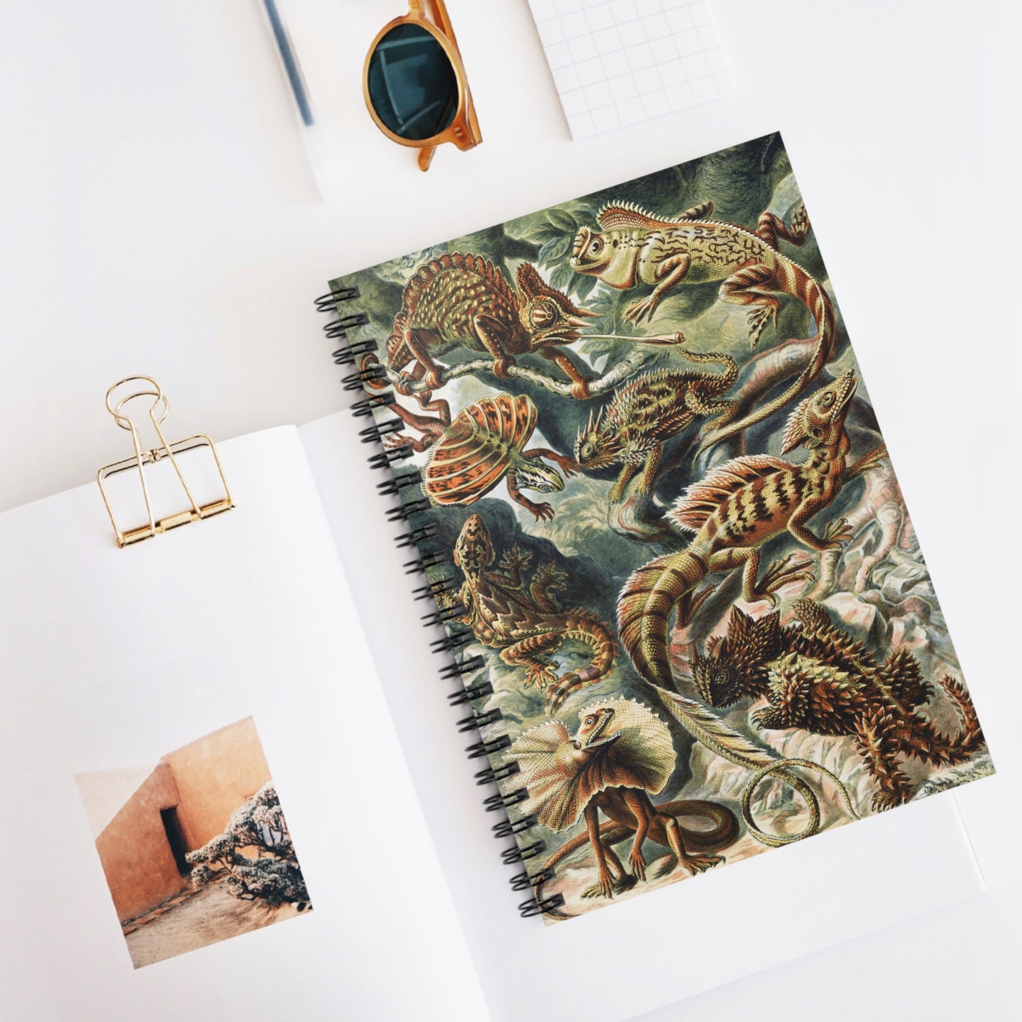 Spiral Notebook - Lizards