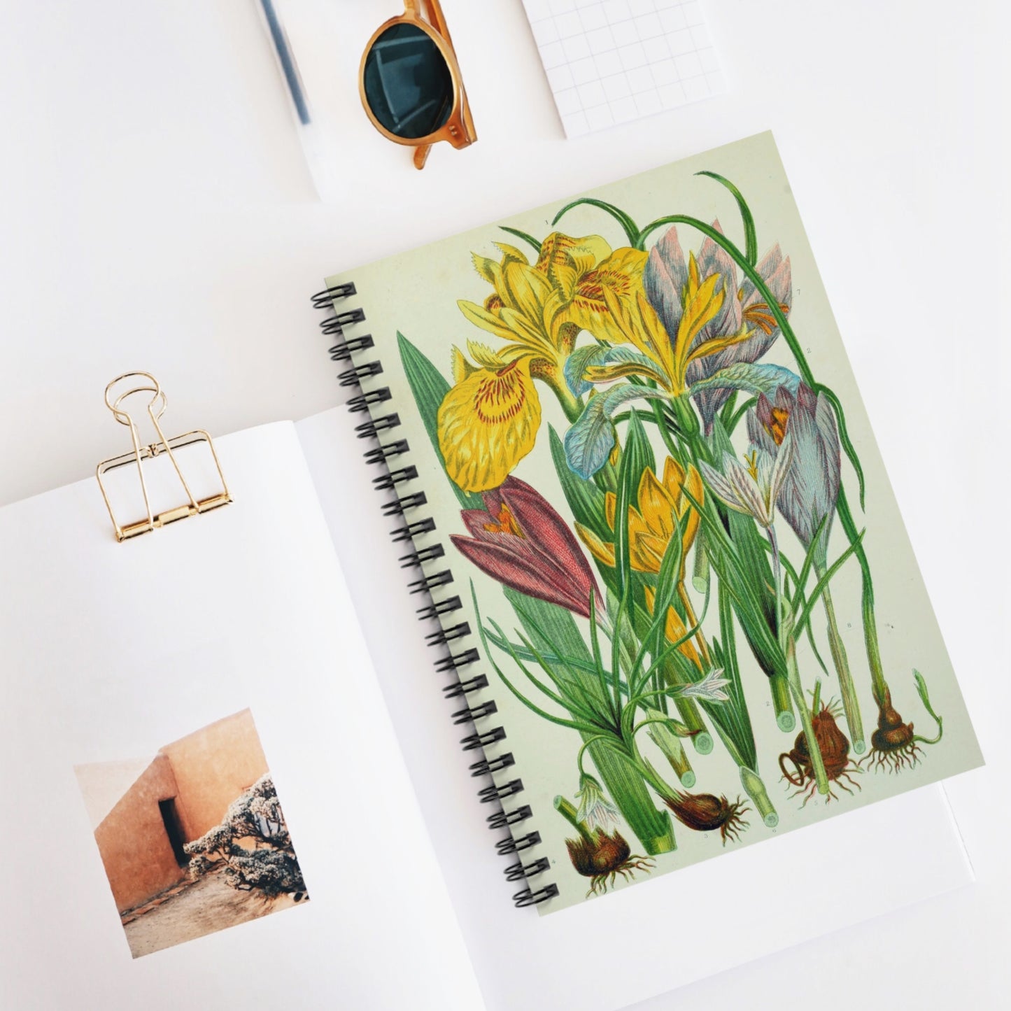 Spiral Notebook - Spring bulbs