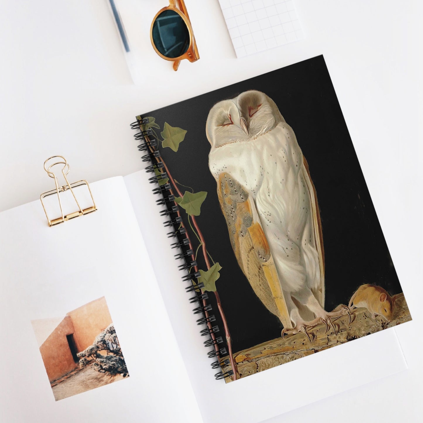 Spiral Notebook - Owl kill