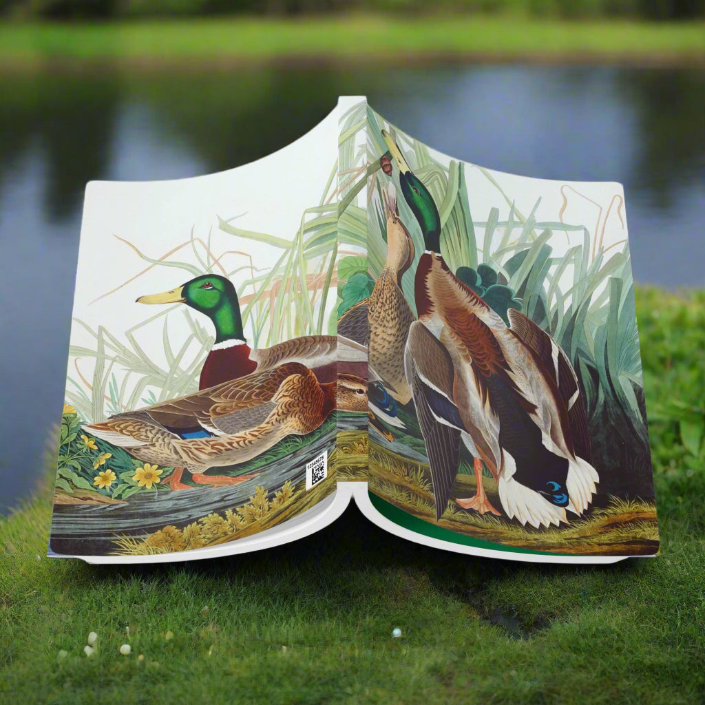 duck wildlife country animal bird mallard notebook journal softcover journaling lined paper 
