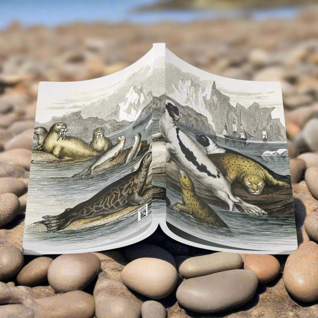 seal sea walrus notebook journal lined paper gray animal softcover