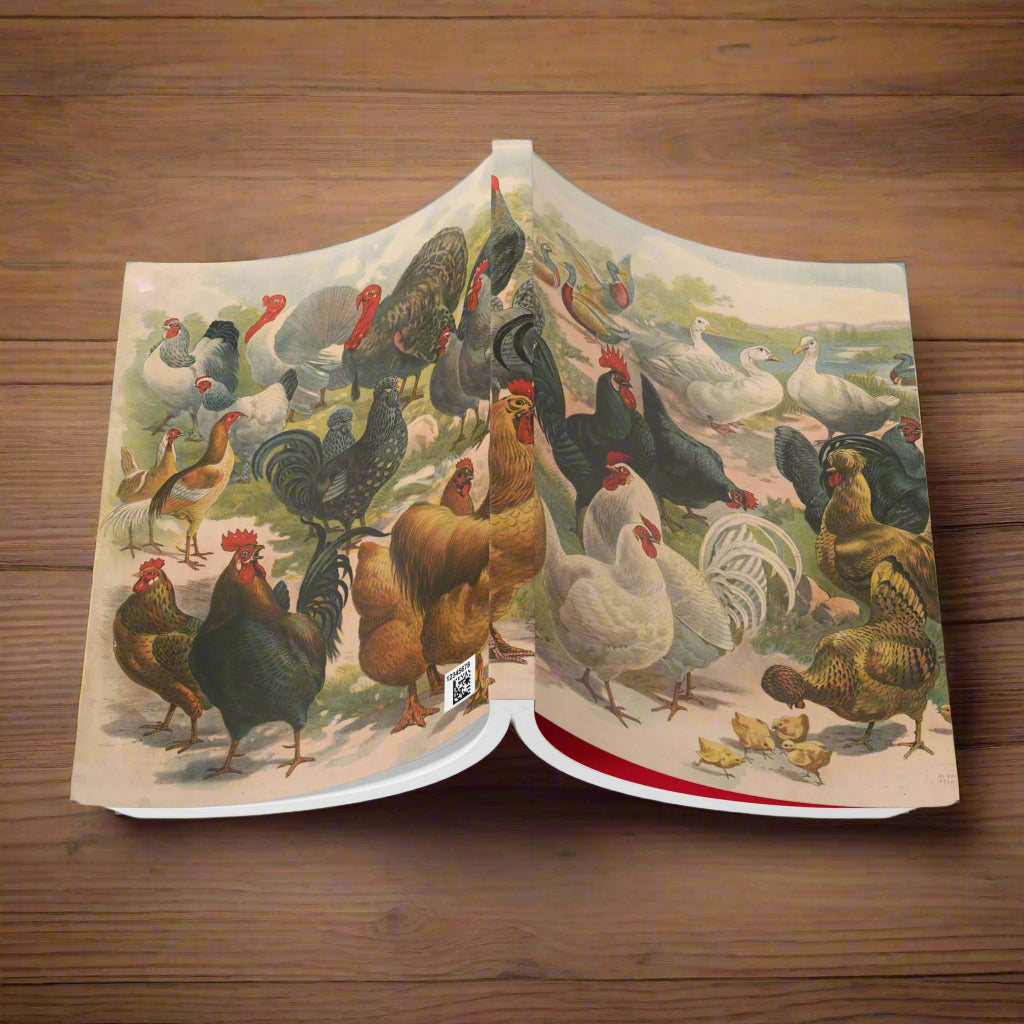 chicken hen rooster duck chick turkey farm bird vintage illustration notebook journal journaling softcover lined paper 