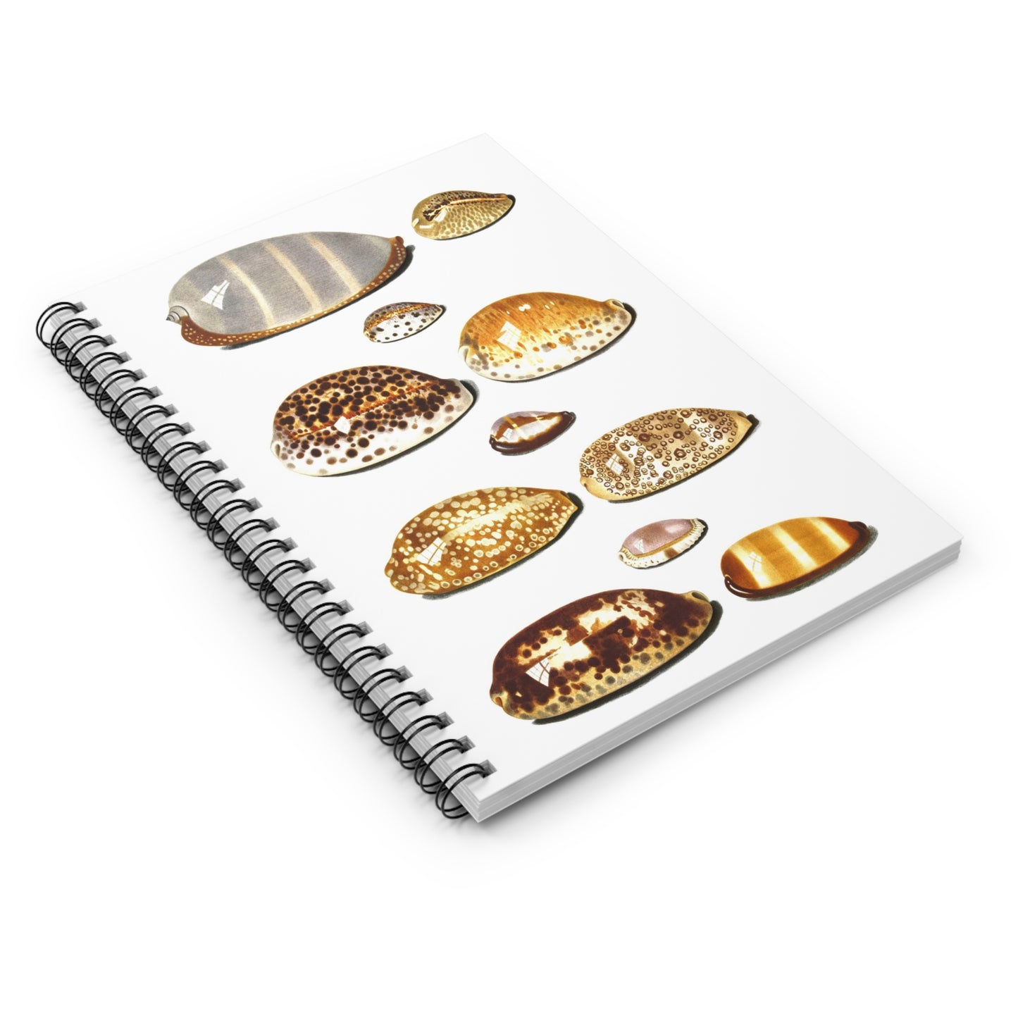 Spiral Notebook - Shells