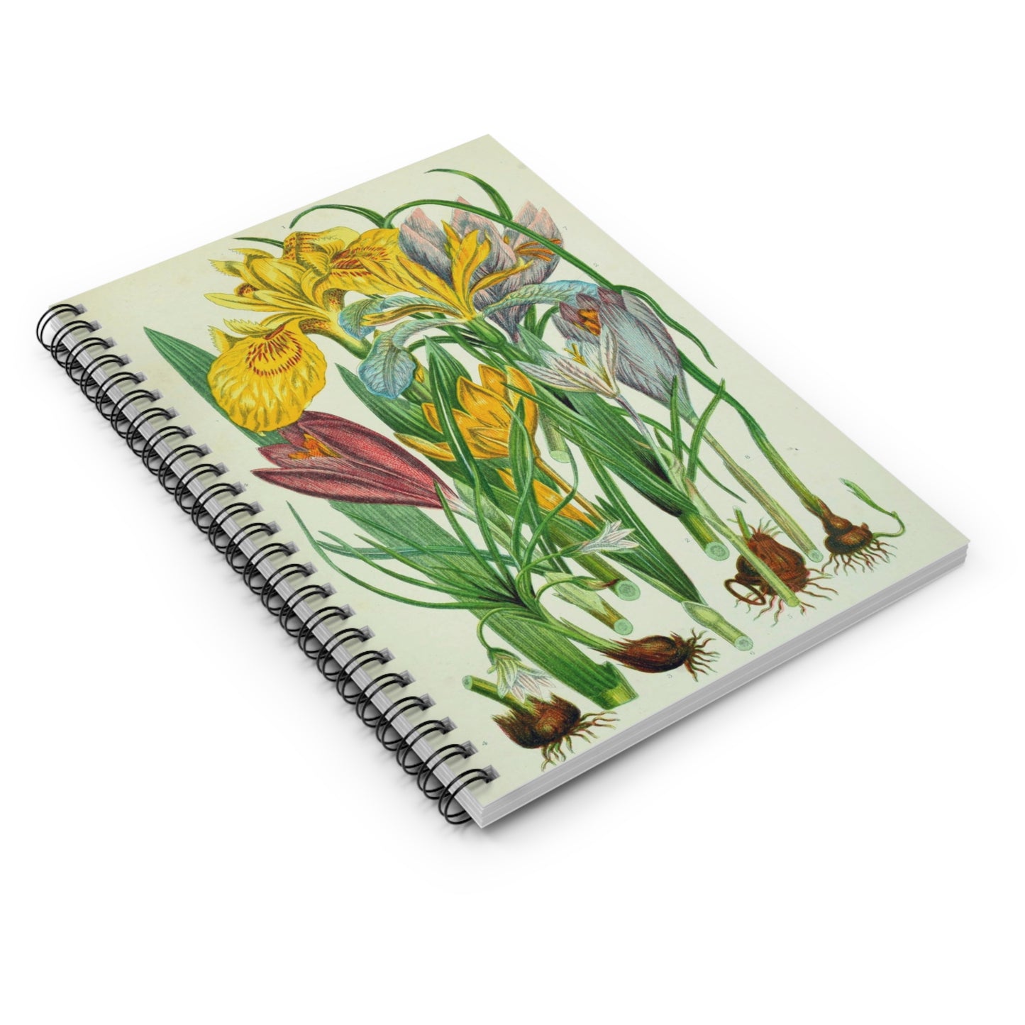 Spiral Notebook - Spring bulbs