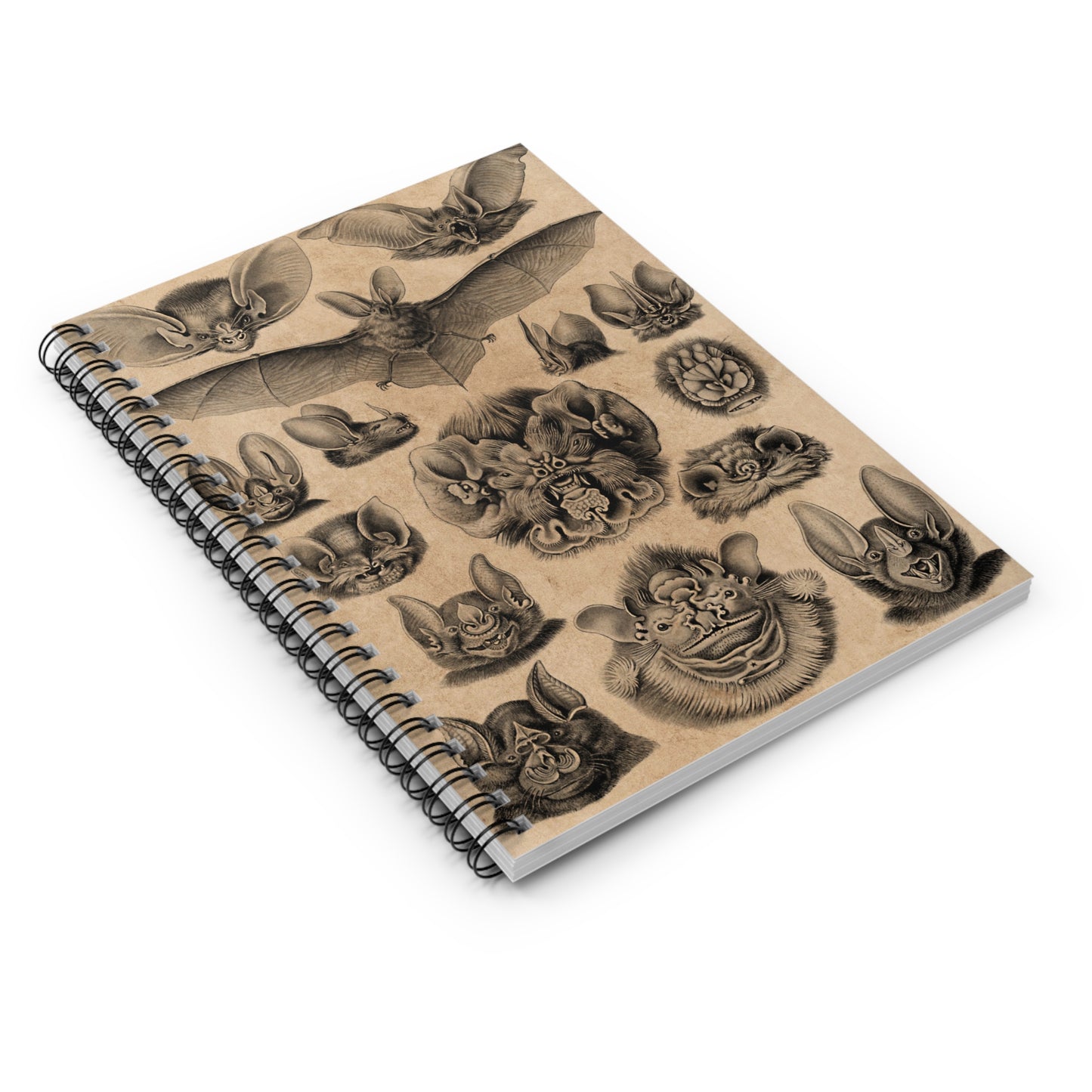 Spiral Notebook - Bat faces