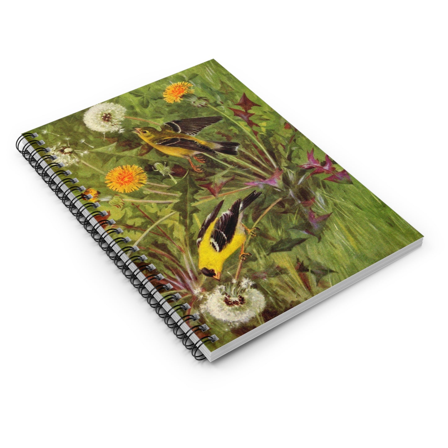 Spiral Notebook - Finches and dandelions