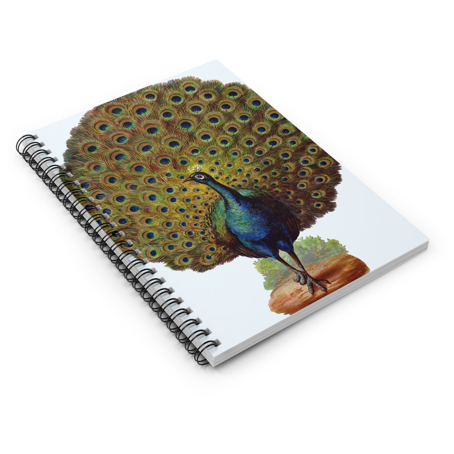 Spiral Notebook - Peacock
